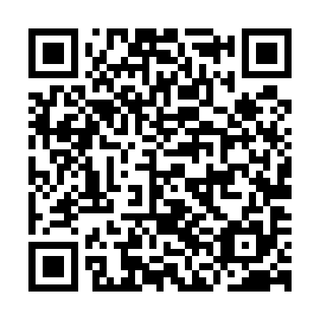 QR code for plate IFL 595