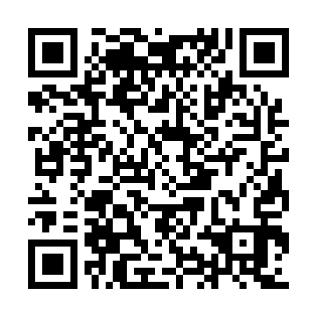 QR code for IIC 113