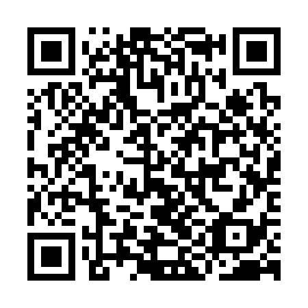 QR code for IIC338
