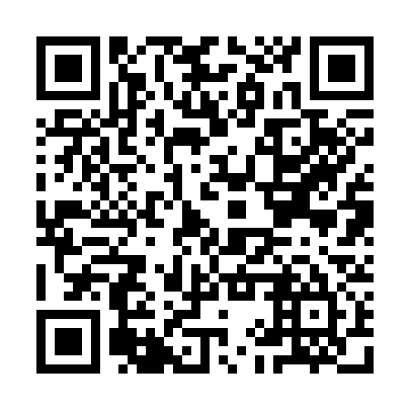 QR code for plate IIR 335