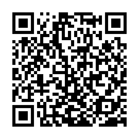 QR code for plate IIS 338