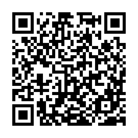 QR code for IIZ 386