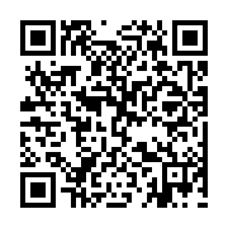 QR code for IJV 386