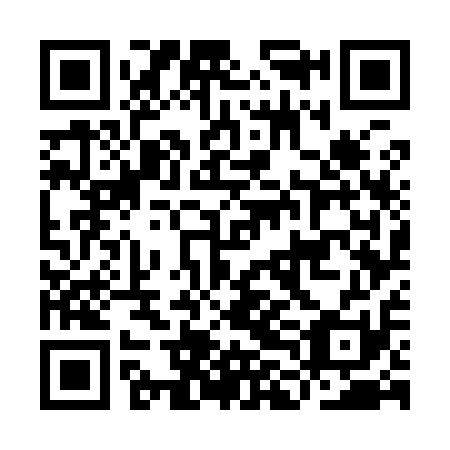 QR code for plate ILG 911