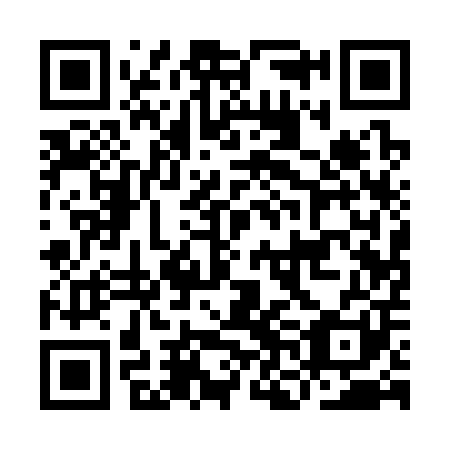 QR code for plate INA 301