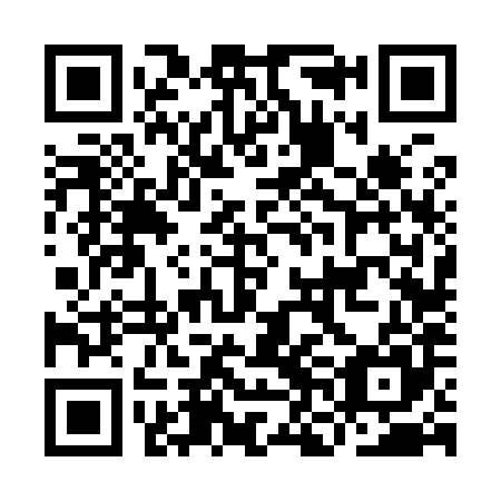 QR code for plate INF 985