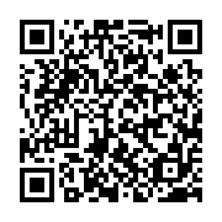 QR code for INT 312