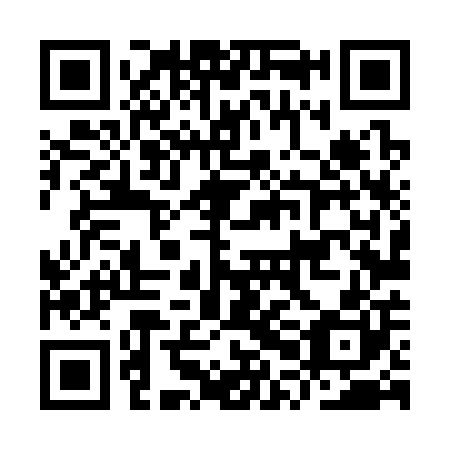 QR code for IPL 300