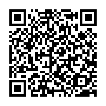 QR code for IQD 009