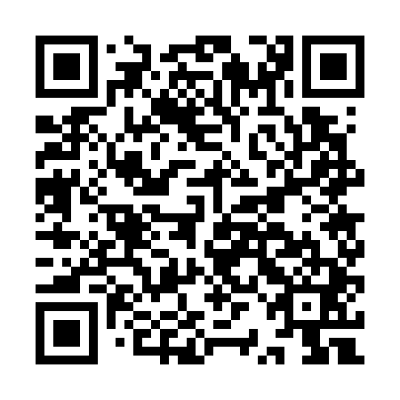 QR code for IRG 741