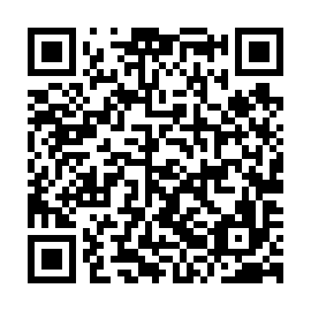 QR code for plate IRL 696