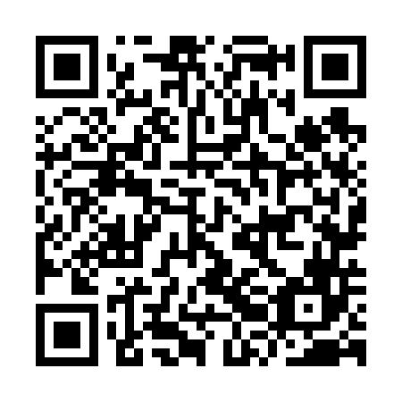 QR code for IRN 646