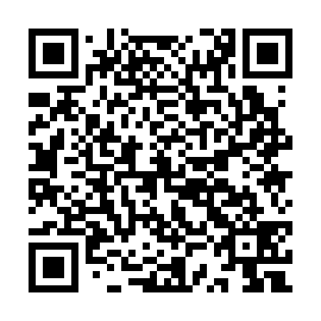 QR code for ISA339