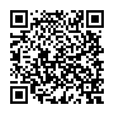 QR code for plate ISJ 599