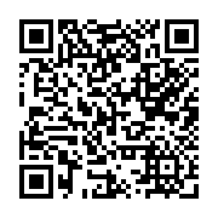 QR code for plate ISS 336