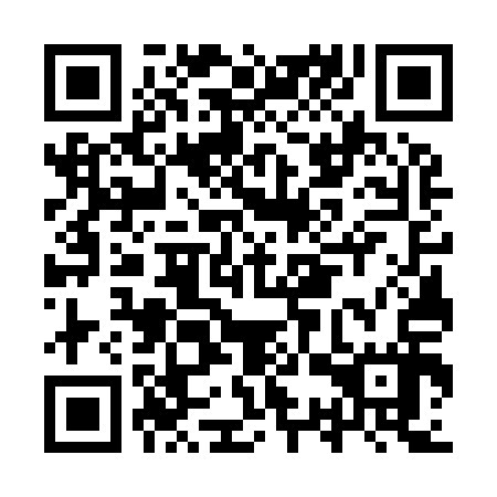 QR code for ISW 917
