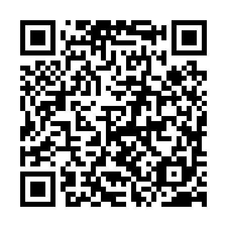 QR code for ISZ 295