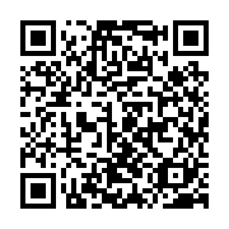 QR code for IUI 221