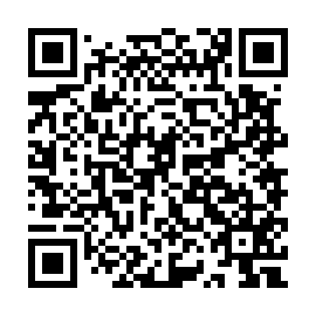 QR code for plate IVN 555