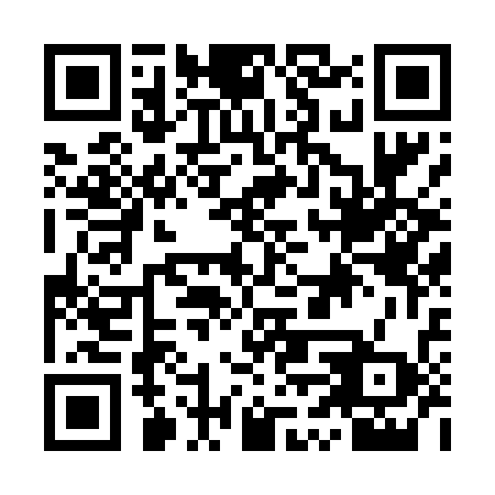 QR code for plate IVR 438