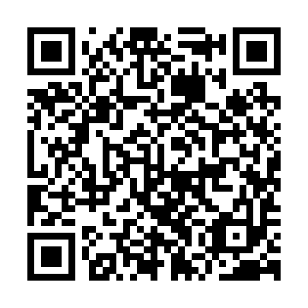 QR code for IWI 293