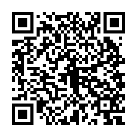 QR code for IYV 256