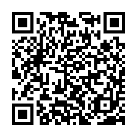 QR code for JGR 313