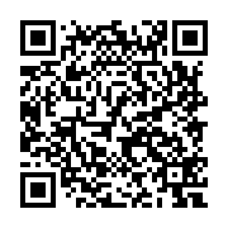 QR code for plate JIX 919