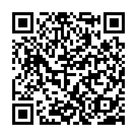 QR code for JOE339