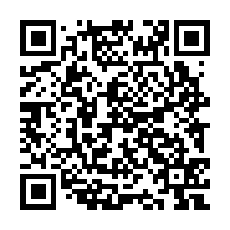 QR code for plate KBL 335
