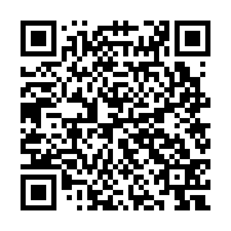 QR code for KNW 333
