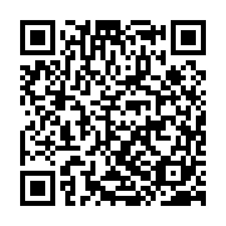 QR code for KPA 161