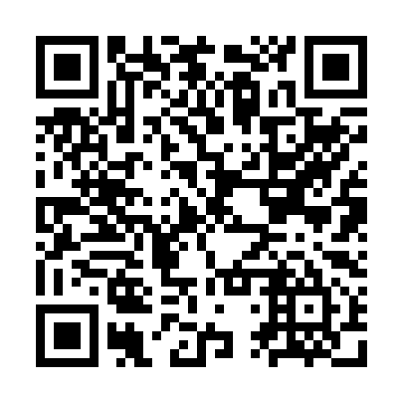 QR code for plate KTR 295