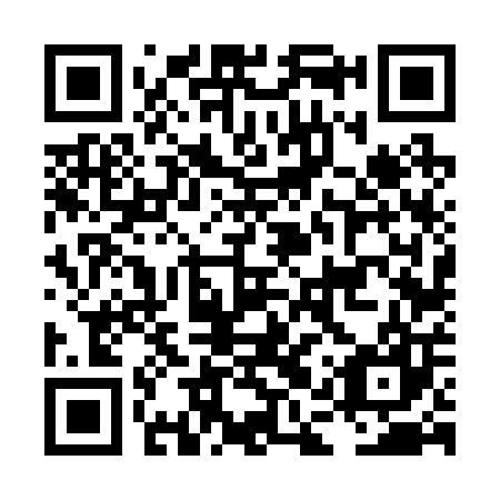 QR code for LAV 207