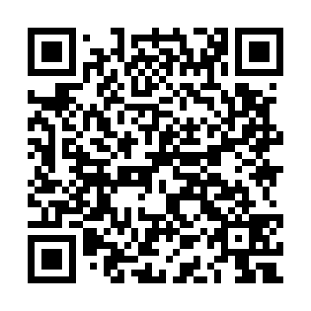 QR code for plate LAY 539