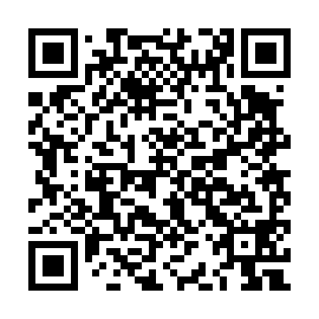 QR code for LBR498