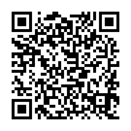 QR code for LBT991