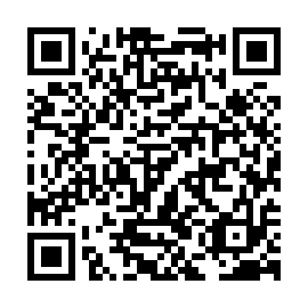QR code for plate LEM 813