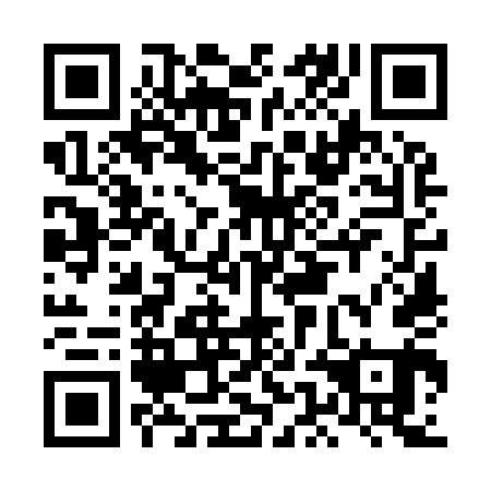QR code for LEO 941