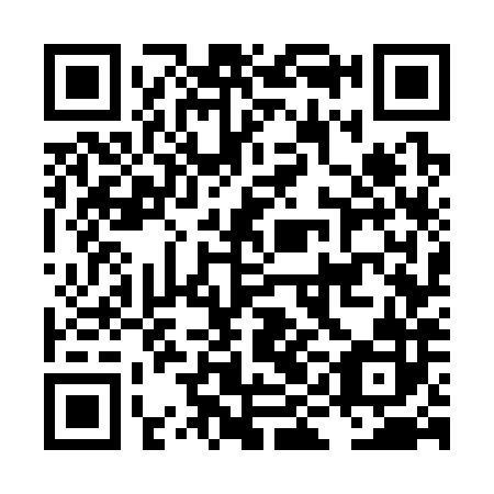 QR code for plate LIG 382