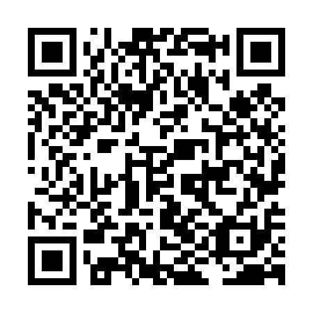 QR code for LIN 411