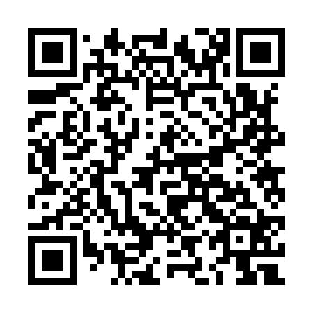 QR code for LIR 924