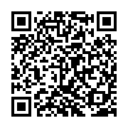 QR code for LLQ299