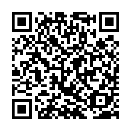 QR code for plate LLR 508