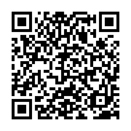QR code for LMN 993