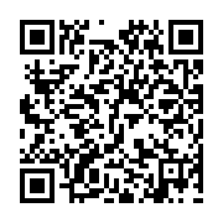 QR code for plate LMO 365
