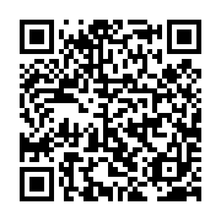 QR code for LMT 493