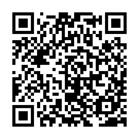 QR code for plate LNB 285