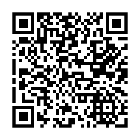 QR code for plate LNZ 597