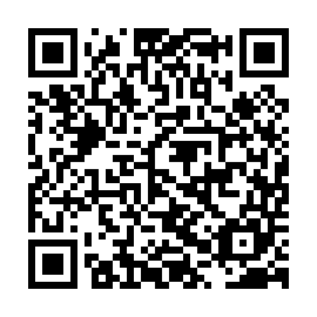 QR code for plate LPQ 045